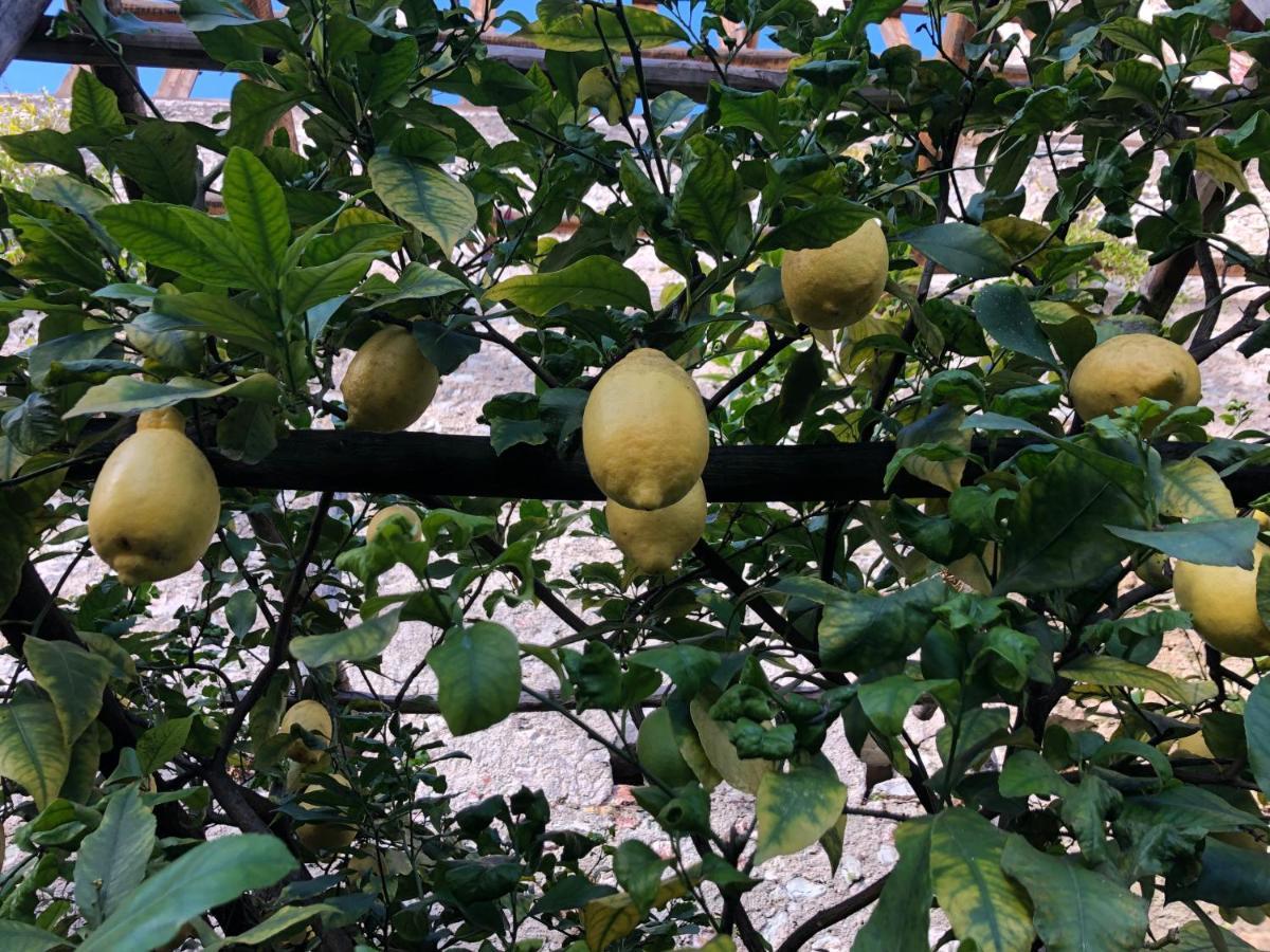 Appartamento Trentino II Comano Terme Dış mekan fotoğraf